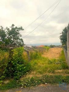 Vente Terrain ALDREU 4905