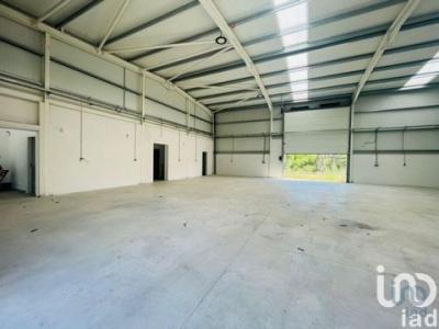 Location Local commercial ALDREU 4905