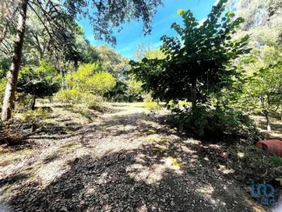 Vente Terrain ALDREU 4905