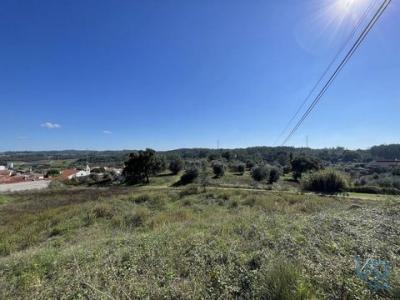 Vente Terrain ALEM-DA-RIBEIRA 2305