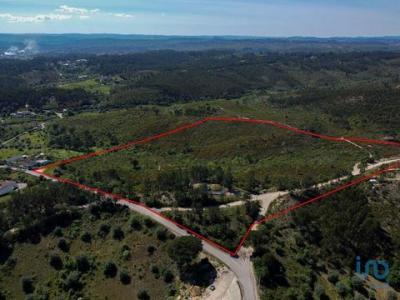 Vente Terrain ALEM-DA-RIBEIRA 2305