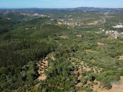 Vente Terrain ALEM-DA-RIBEIRA 2305