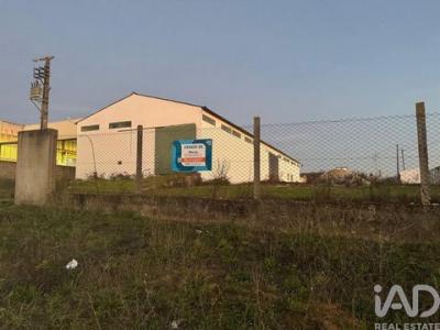 Vente Local commercial ALEM-DA-RIBEIRA 2305