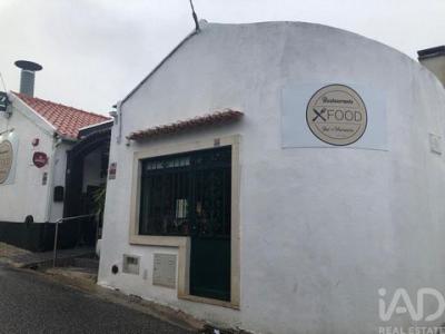 Vente Local commercial ALENQUER 2580