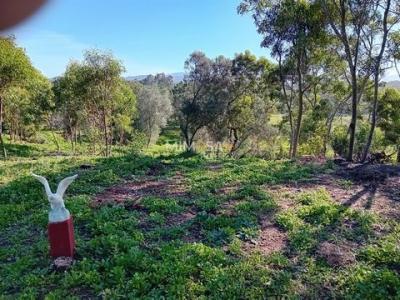 Vente Terrain ALJEZUR 8670