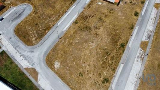 Vente Terrain ALMEIDA 6350