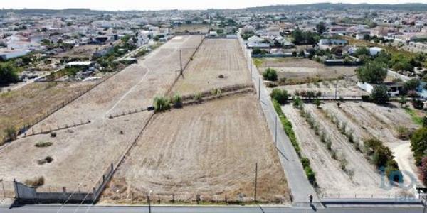 Vente Terrain ALMEIRIM 2080