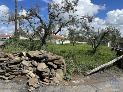 Vente Terrain ALMODOVAR 7700