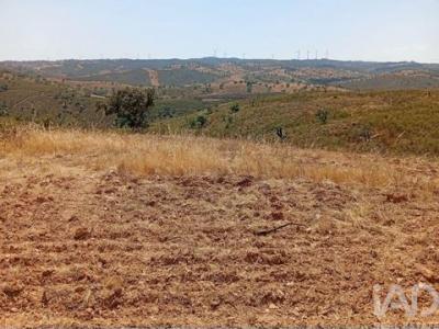Vente Terrain ALMODOVAR 7700