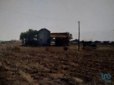 Vente Terrain ALPIARCA 2090