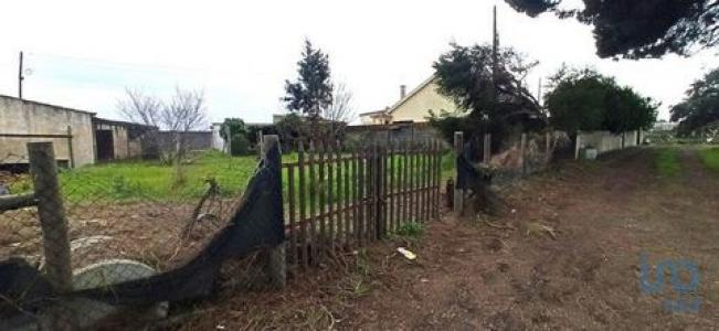 Vente Maison ALPIARCA 2090