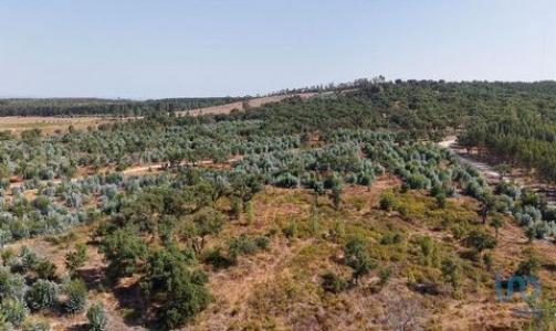 Vente Terrain ALPIARCA 2090