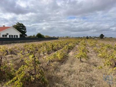 Vente Terrain ALPIARCA 2090