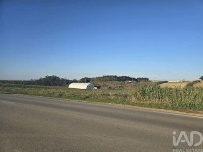 Vente Terrain ALTO-FOZ 2525