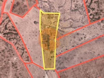 Vente Terrain ALTURA 8950