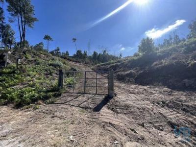 Vente Terrain AMARANTE 4600