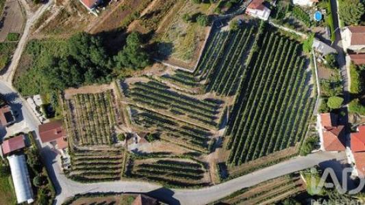Vente Terrain AMARANTE 4600
