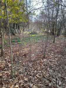 Vente Terrain AMARES 4720