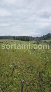 Vente Terrain ANADIA 3780