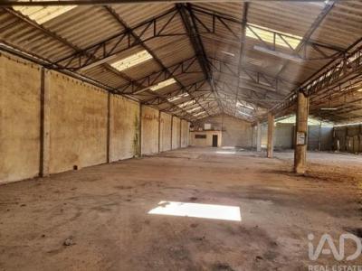 Vente Local industriel ANADIA 3780