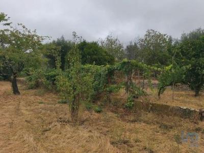 Vente Terrain ANDORINHA 3405