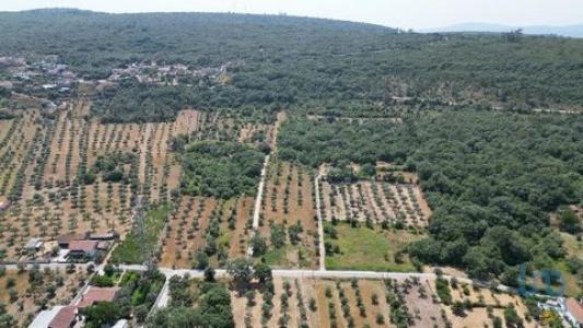 Vente Terrain ANSIAO 3240
