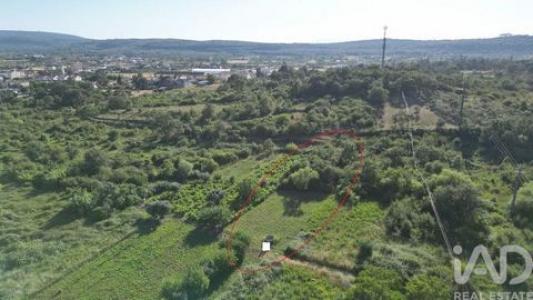 Vente Terrain ANSIAO 3240