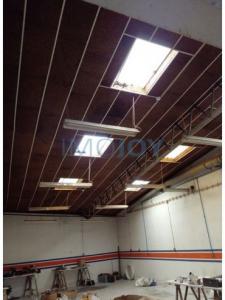 Vente Local industriel APELACAO 2680