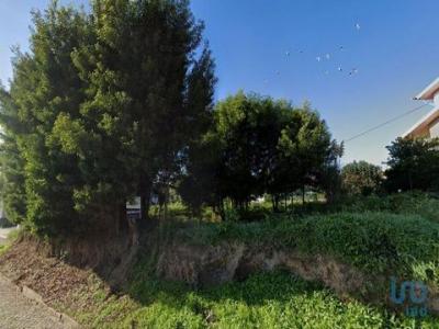 Vente Terrain ARNELAS 4415
