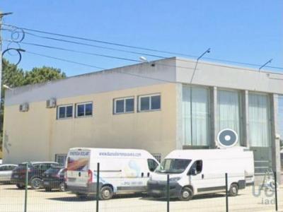 Vente Local industriel ARRAIADOS 2955