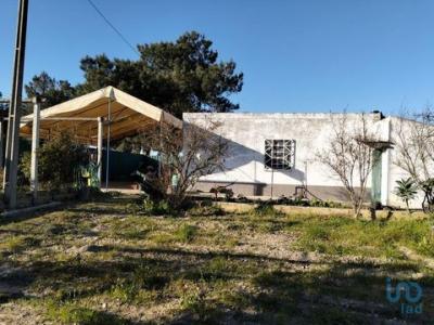 Vente Terrain ARRAIADOS 2955