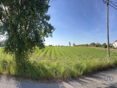 Vente Terrain AVEIRO 3800