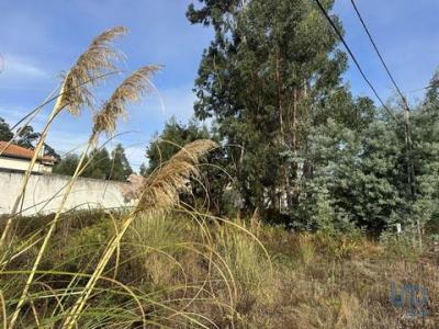 Vente Terrain AVEIRO 3810