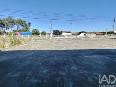 Vente Local industriel AZAMBUJA 2050