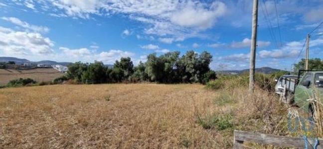 Vente Terrain AZUEIRA 2665