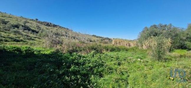 Vente Terrain AZUEIRA 2665