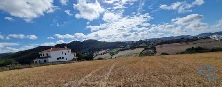 Vente Terrain AZUEIRA 2665