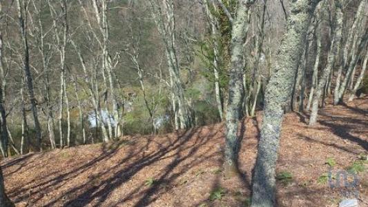 Vente Terrain BAIAO 4640