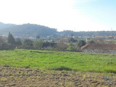 Vente Terrain BARCELOS 4750