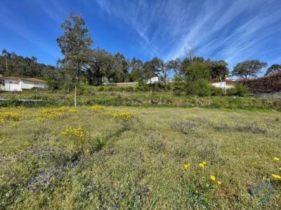 Vente Terrain BARCELOS 4750