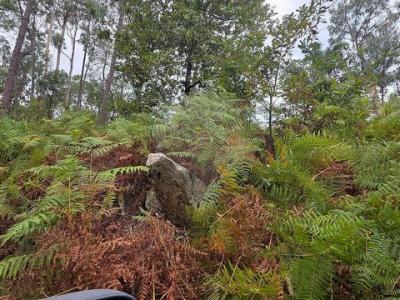 Vente Terrain BARCELOS 4750