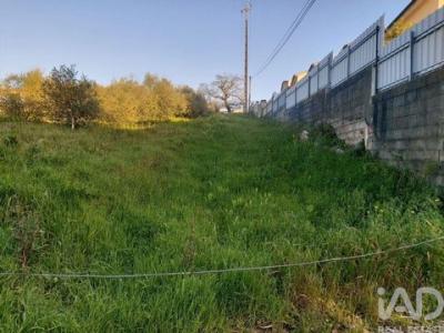 Vente Terrain BATALHA 2440