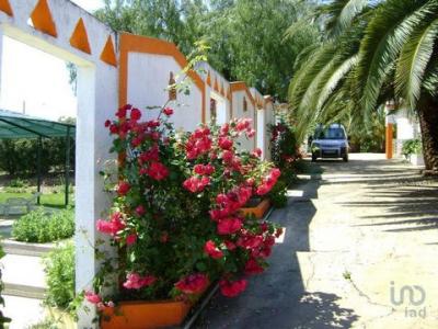 Vente Terrain BEJA 7800