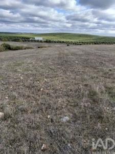 Vente Terrain BEJA 7800