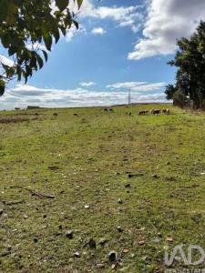 Vente Terrain BEJA 7800