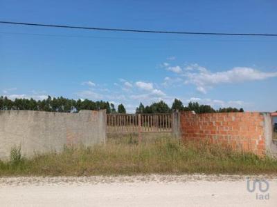 Vente Terrain BENAVENTE 2130