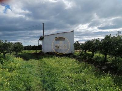 Vente Terrain BOLIQUEIME 8100
