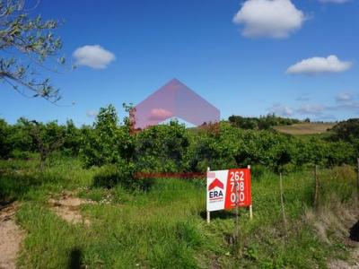 Vente Terrain BOMBARRAL 2540