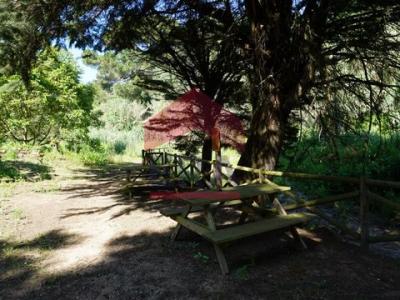 Vente Terrain BOMBARRAL 2540