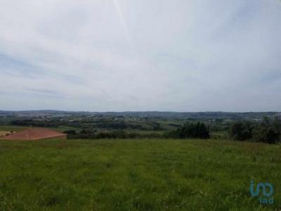 Vente Terrain BOMBARRAL 2540